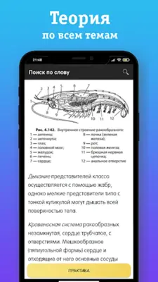 ЕГЭ Биология android App screenshot 4